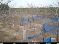 Apr 18 2025 12:34:21, #01