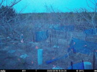 Apr 18 2025 18:34:20, #01
