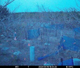 Apr 18 2025 18:34:20, #01