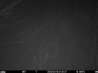 Apr 18 2025 21:34:21, #01