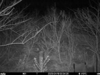 Apr 19 2025  3:34:20, #01