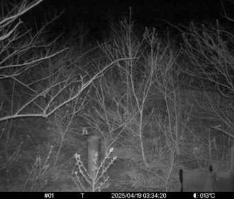 Apr 19 2025  3:34:20, #01