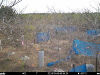 Apr 19 2025  6:34:21, #01