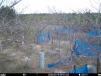 Apr 19 2025  9:34:20, #01
