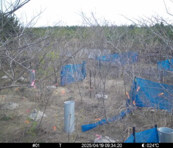 Apr 19 2025  9:34:20, #01