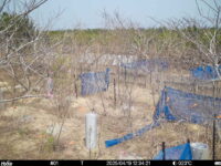 Apr 19 2025 12:34:21, #01