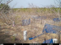 Apr 19 2025 15:34:21, #01