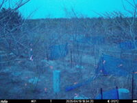 Apr 19 2025 18:34:20, #01