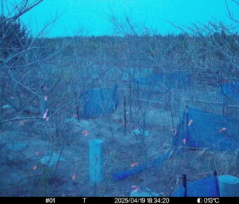 Apr 19 2025 18:34:20, #01