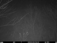 Apr 19 2025 21:34:20, #01