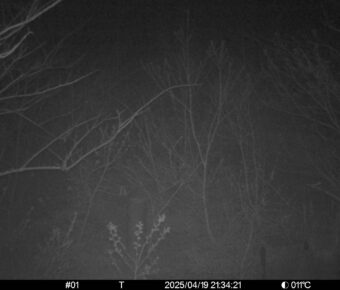 Apr 19 2025 21:34:20, #01