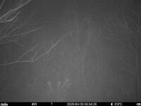 Apr 20 2025  0:34:20, #01