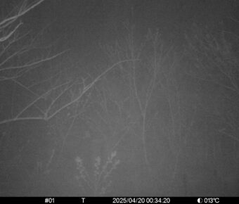 Apr 20 2025  0:34:20, #01