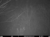 Apr 20 2025  3:34:21, #01
