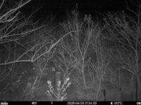 Apr 20 2025 21:34:20, #01