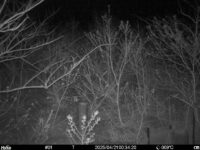 Apr 21 2025  0:34:20, #01