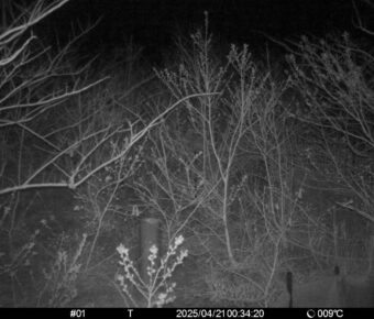 Apr 21 2025  0:34:20, #01
