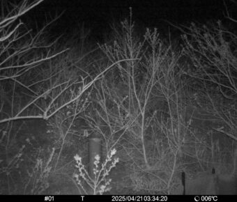 Apr 21 2025  3:34:20, #01