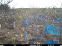 Apr 21 2025  6:34:21, #01