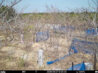 Apr 21 2025 12:34:20, #01