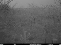 Apr 21 2025 18:34:21, #01