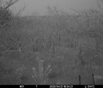 Apr 21 2025 18:34:21, #01