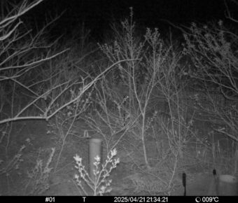 Apr 21 2025 21:34:21, #01