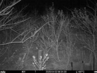 Apr 22 2025  0:34:19, #01
