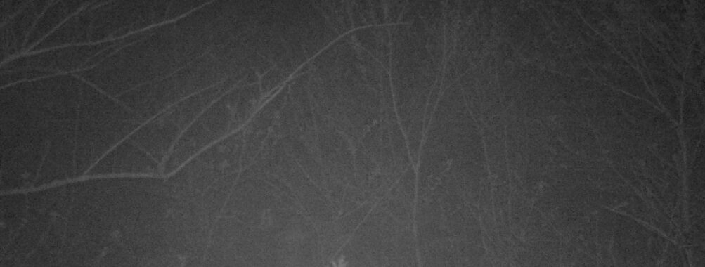 Apr 22 2025  3:34:20, #01
