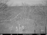 Apr 22 2025 18:34:21, #01