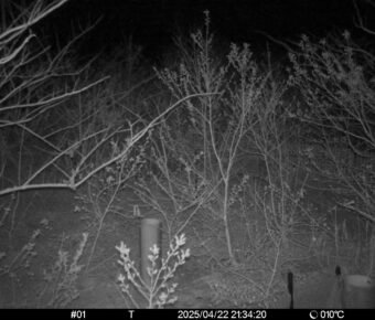 Apr 22 2025 21:34:20, #01