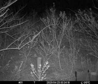 Apr 23 2025  0:34:19, #01