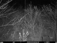 Apr 23 2025  3:34:20, #01