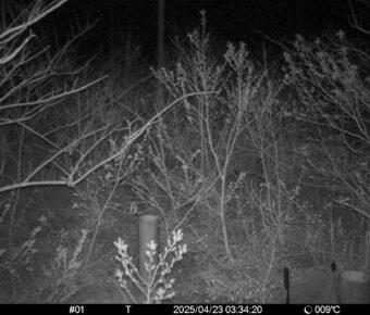 Apr 23 2025  3:34:20, #01