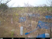Apr 23 2025  9:34:21, #01