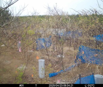 Apr 23 2025  9:34:21, #01