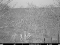 Apr 23 2025 18:34:21, #01