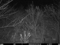 Apr 23 2025 21:34:20, #01