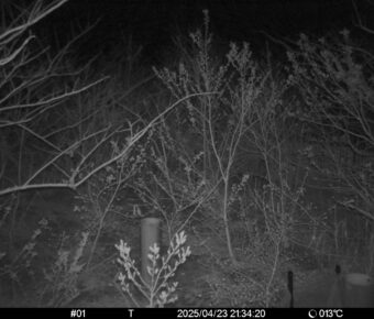 Apr 23 2025 21:34:20, #01