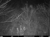 Apr 24 2025  0:34:20, #01