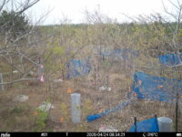 Apr 24 2025  6:34:21, #01