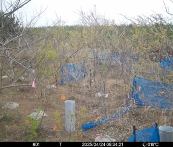Apr 24 2025  6:34:21, #01