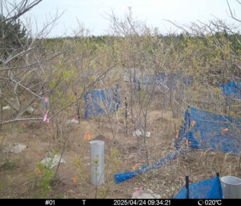 Apr 24 2025  9:34:20, #01
