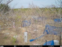 Apr 24 2025 12:34:21, #01