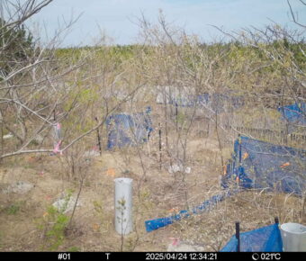 Apr 24 2025 12:34:21, #01