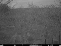 Apr 24 2025 18:34:21, #01
