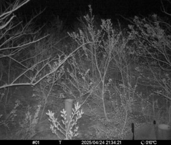 Apr 24 2025 21:34:21, #01