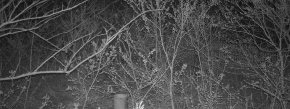 Apr 25 2025  0:34:20, #01