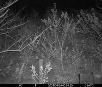 Apr 25 2025  0:34:20, #01