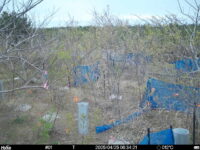 Apr 25 2025  6:34:21, #01